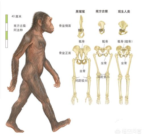 女人没有孩子痛苦一生(图2)