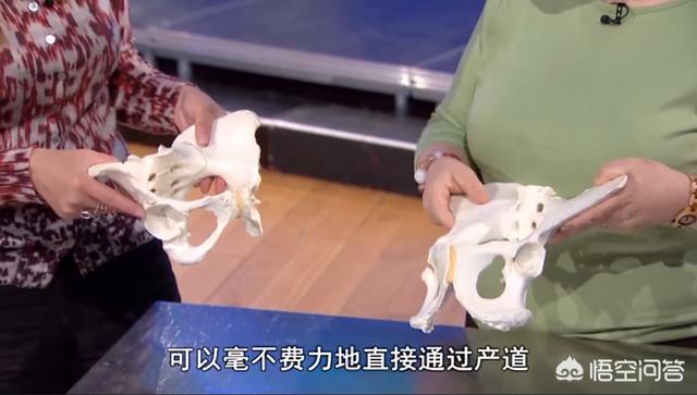 女人没有孩子痛苦一生(图7)