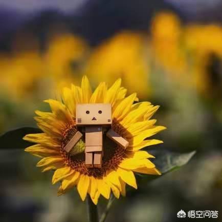 怎么判断有人在想你(图4)