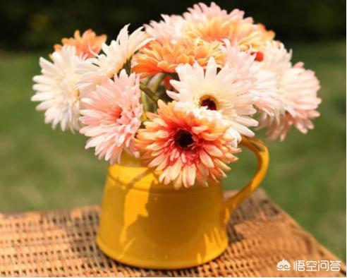 花卉秋季施肥