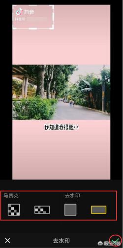 抖音水印去不了怎么办？：抖音去水印