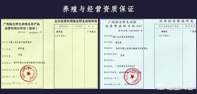 搞养殖养什么比较好呢 我家是农村的，想回家搞养殖，不知道养什么好？