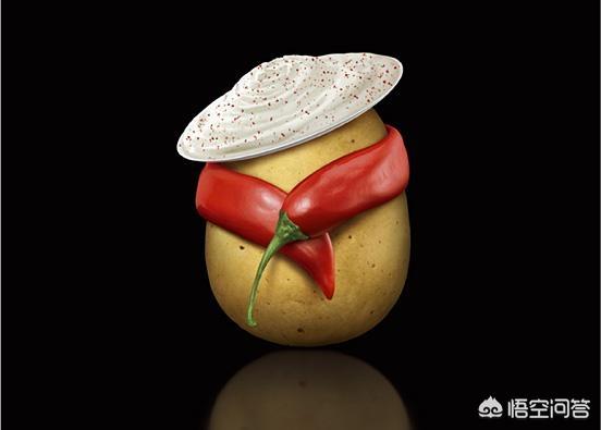 上海景观设计助理上海景观设计师工资一般多少