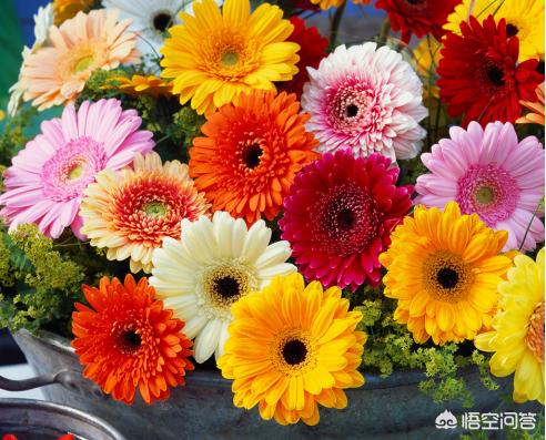 花卉秋季施肥