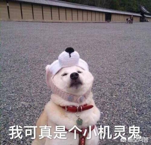 这么快就有反应了_这么快就有反应了MBA