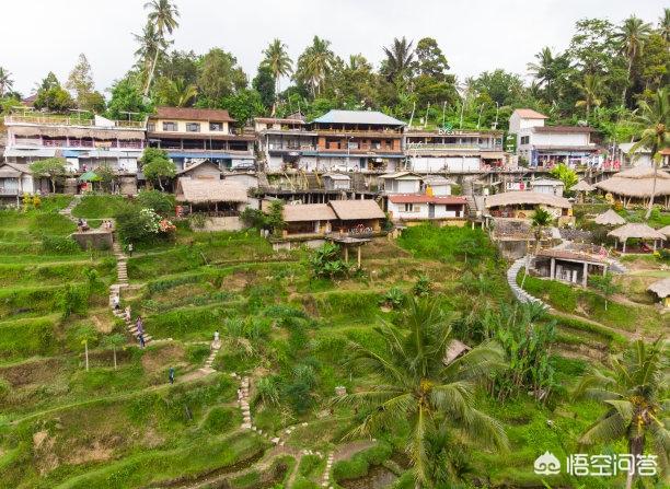 云南昆明市西山区摘枇杷民宿大全,昆明附近摘枇杷