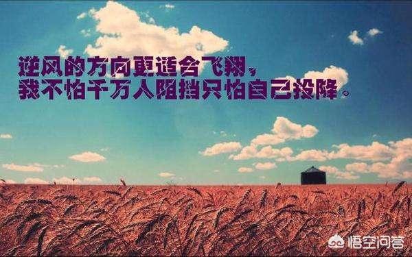 会计人才网，中国会计人才网