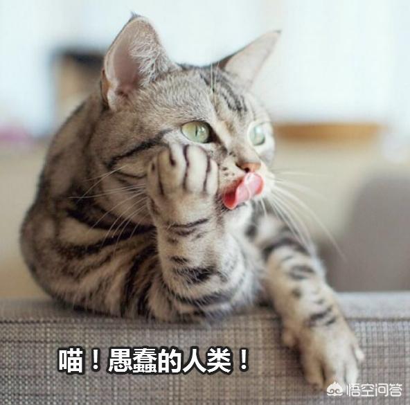 中国国债-中国国债有多少万亿?