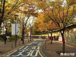 本科留学哪个国家性价比高，本科留学哪个国家好