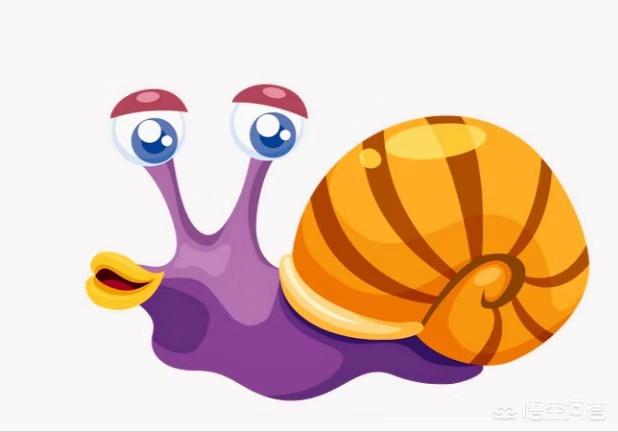 如何成为一名真正的职场精英