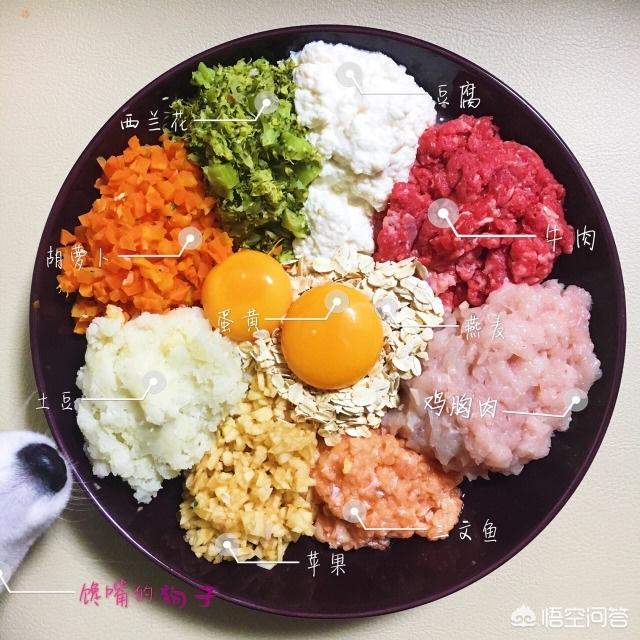 牛肉晒干了后还有营养吗?_有没有试过自己做狗粮的，好做吗？