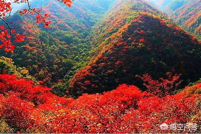 青田景区旅游攻略路线， 青田景区旅游攻略路线图