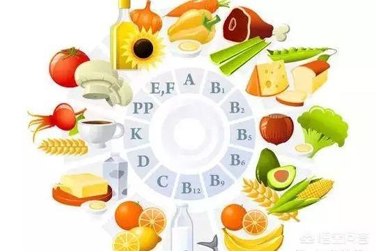 脱发怎么改善食疗食谱(图3)