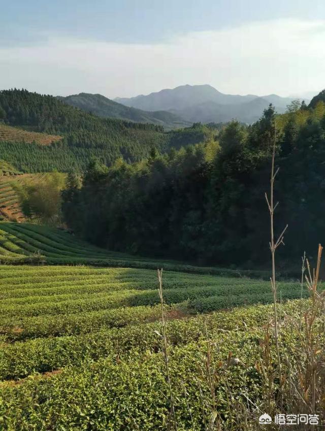 杨柳到泾阳地铁路线，到杨柳怎么走