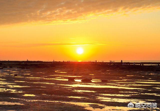 法国海外生活vlog音乐，法国好听歌曲