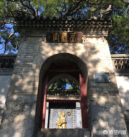 廊坊市大城县生猪价格-廊坊市大城县生猪价格表
