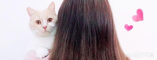 怎样才能让猫咪知道我很喜欢它,第4张