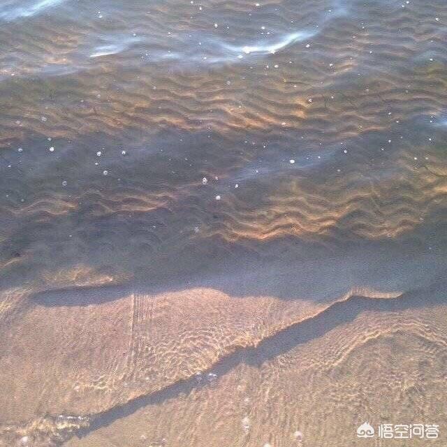 打造强健企业财务体系：揭秘六种企业税务优化方案，税务优化的财务原则