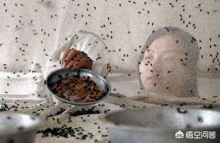 从多角度谈谈家禽场如何减少饲料浪费答案-养禽场减少饲料浪费的措施