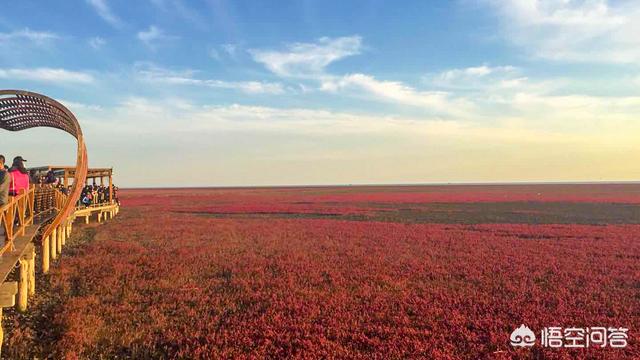 国内5天游去哪里旅游好,国内5天游去哪里旅游好一点