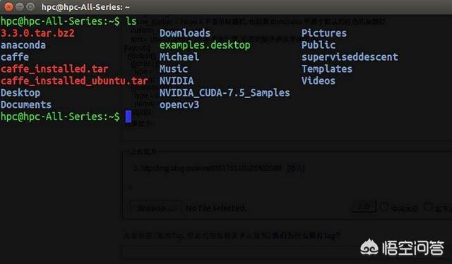 linux 什么系统？linux遵循什么标准？