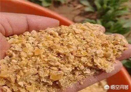 养鹅饲料用盐-养鹅饲料用盐水泡多久