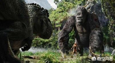 电影评论（寻秦记 电影评论）