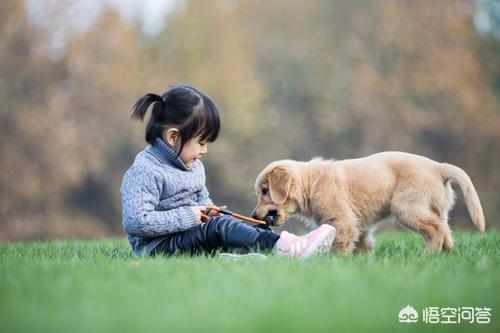 孩子與寵物?孩子與寵物發圈句子!