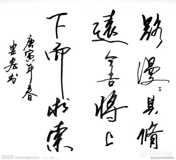 草书极品字体
