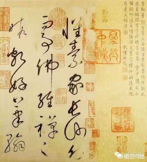 汉字草书的字体特点