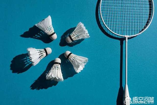 羽毛球在哪些省份比较受欢迎