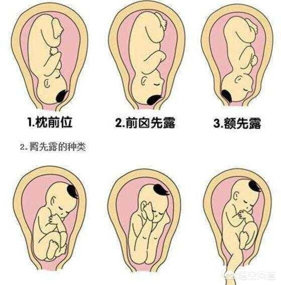 女人没有孩子痛苦一生(图11)
