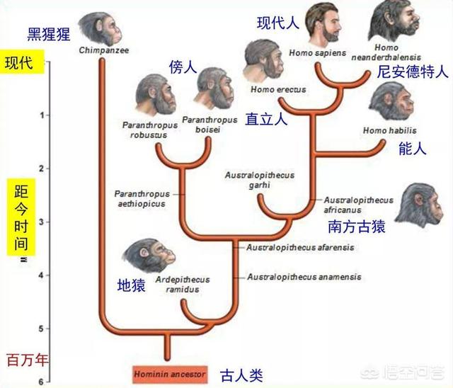 女人没有孩子痛苦一生(图1)