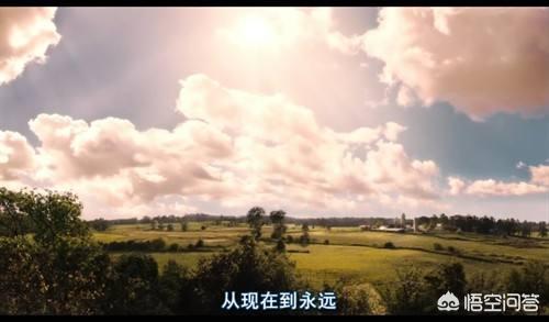 海外生活记录新西兰电影，新西兰的纪录片