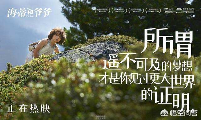 海外生活记录新西兰电影，新西兰的纪录片