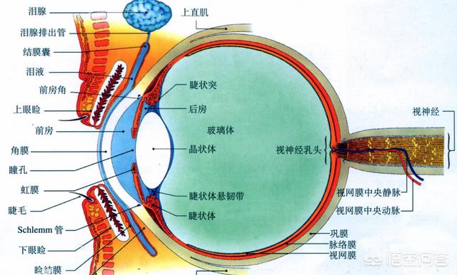 周公解梦梦见看见红红的太阳和月亮,周公解梦梦见天空火红