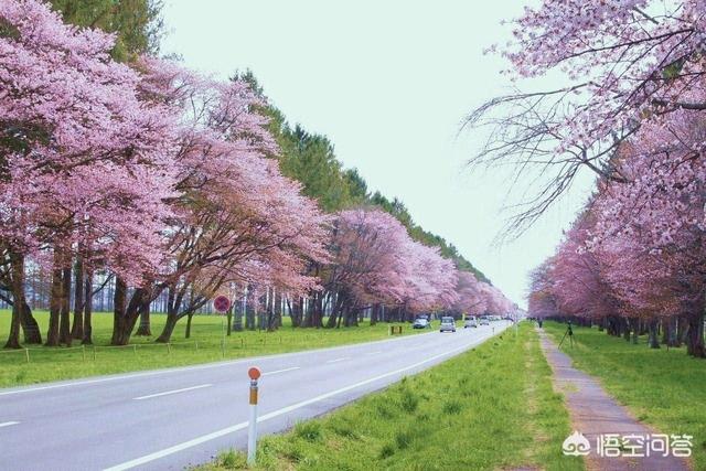 全球十大蜜月旅行圣地 国内有几个,全球十大蜜月旅行圣地 国内有几个