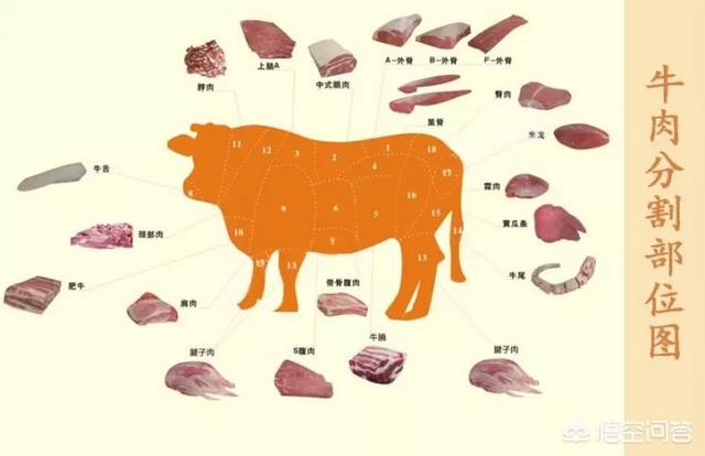 如何挑选牛肉(如何挑选牛肉片)