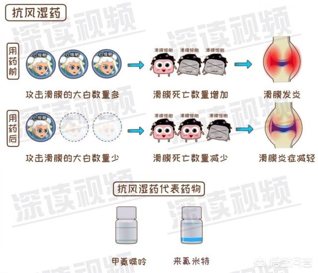 内风湿关节炎怎么调理(图13)
