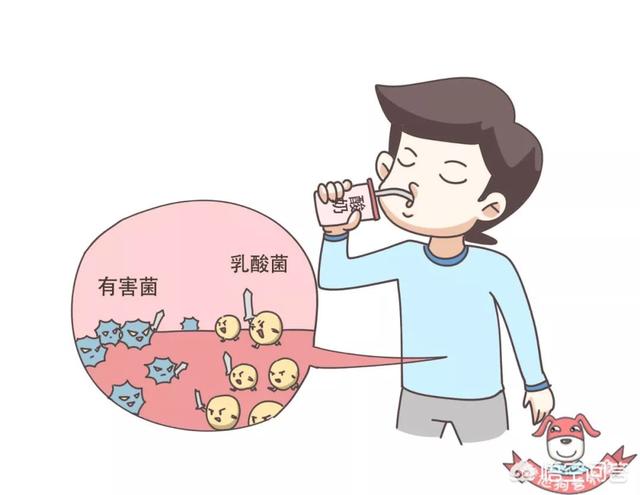 吃什么提高免疫力最好最快(图7)