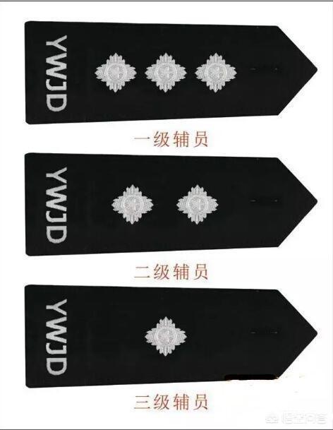 辅警都有什么等级？