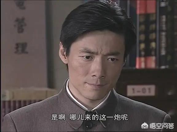 2008年春节联欢晚会(你心目中的最好看的谍战剧前十部都有哪些？)