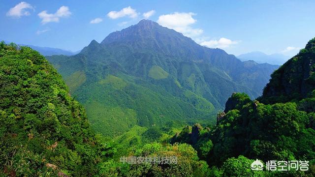 旅游景点新闻稿件