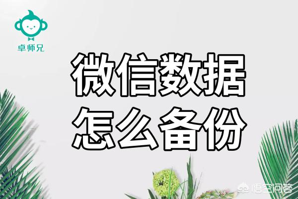 微信记录备份（怎样自动备份微信聊天记录？）