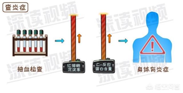 内风湿关节炎怎么调理(图8)