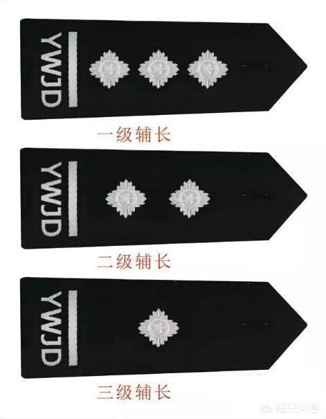 辅警都有什么等级？