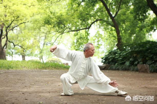 养生食谱大全及做法,破壁机养生食谱大全及做法