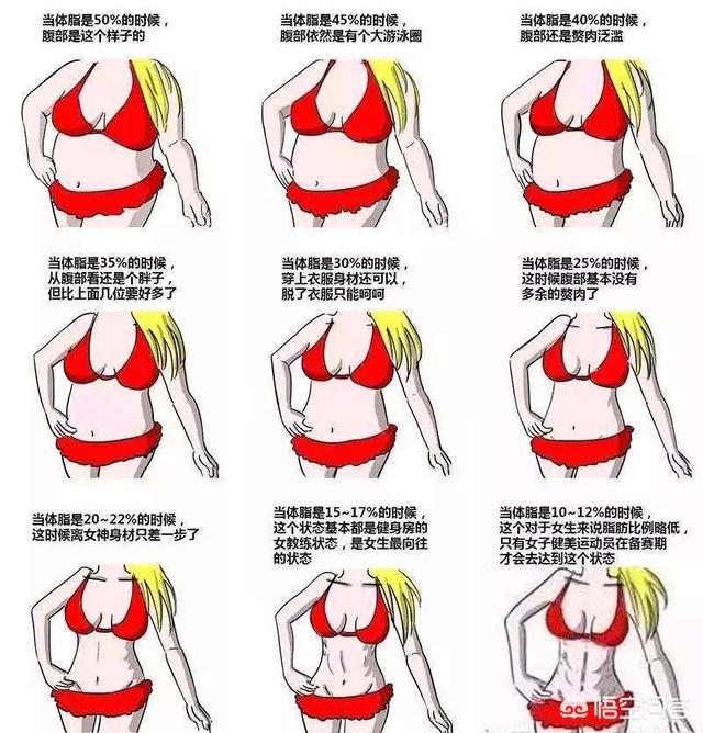 减肥最好的鸡蛋怎么吃(图5)