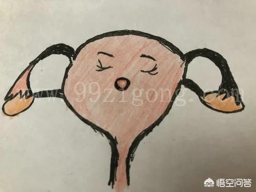 女人怎么会得子宫肌瘤