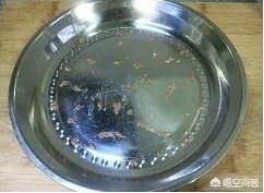 南宁市diy抖音团购怎么样